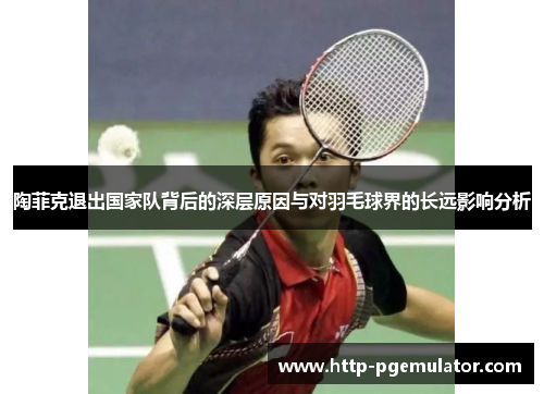 陶菲克退出国家队背后的深层原因与对羽毛球界的长远影响分析 陶菲克退出国家队背后的深层原因与对羽毛球界的长远影响分析