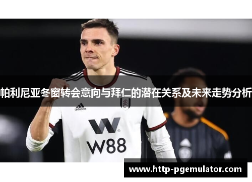 帕利尼亚冬窗转会意向与拜仁的潜在关系及未来走势分析