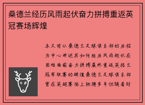 桑德兰经历风雨起伏奋力拼搏重返英冠赛场辉煌
